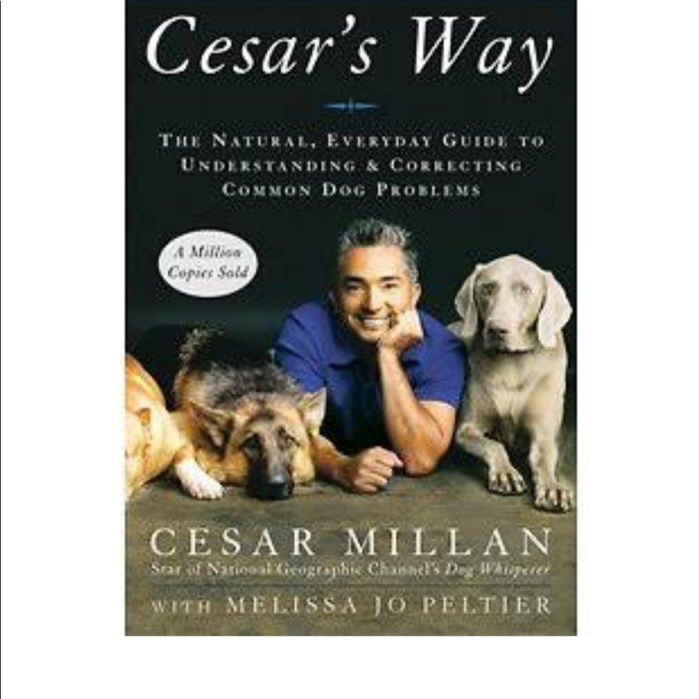 Hardback cover of “Cesar’s Way”  by Cesar Millan